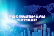 滅鼠公司告訴你什么方法滅鼠效果最好