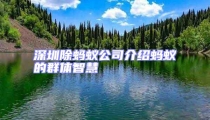 深圳除螞蟻公司介紹螞蟻的群體智慧
