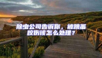 除蟲公司告訴你，被跳蚤咬傷該怎么處理？