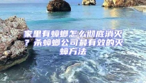 家里有蟑螂怎么徹底消滅？殺蟑螂公司最有效的滅蟑方法