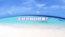怎樣識別白蟻類？