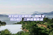 滅白蟻公司教您：如何發(fā)現(xiàn)白蟻？三種現(xiàn)象簡述