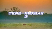 市區(qū)將統(tǒng)一開展滅蚊大行動