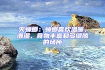 滅蟑螂：蟑螂喜歡溫暖、潮濕、食物豐富和多縫隙的場所