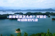 發現老鼠怎么辦？滅鼠公司給你好方法