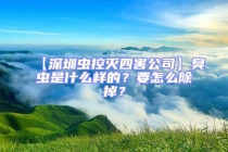【深圳蟲控滅四害公司】臭蟲是什么樣的？要怎么除掉？
