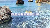 翹楚尖兵滅蟑螂公司