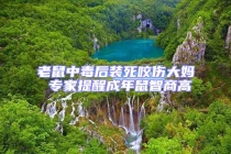 老鼠中毒后裝死咬傷大媽 專(zhuān)家提醒成年鼠智商高