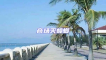 商場(chǎng)滅蟑螂