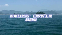 深圳白蟻站：白蟻的主巢和副巢
