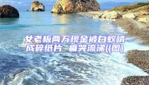 女老板兩萬現金被白蟻啃成碎紙片 痛哭流涕((圖)
