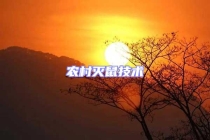 農(nóng)村滅鼠技術(shù)