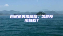 白蟻危害高峰期，怎樣預防白蟻？