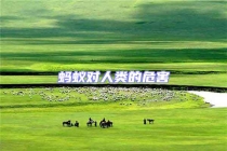 螞蟻對人類的危害