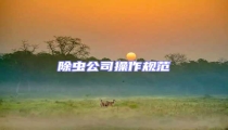 除蟲(chóng)公司操作規(guī)范