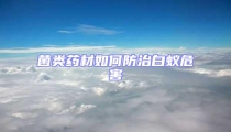菌類藥材如何防治白蟻危害