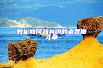 教你如何和身邊的老鼠做斗爭(zhēng)