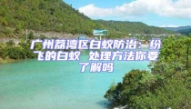 廣州荔灣區白蟻防治：紛飛的白蟻 處理方法你要了解嗎