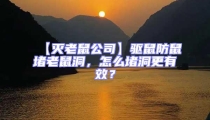 【滅老鼠公司】驅鼠防鼠堵老鼠洞，怎么堵洞更有效？