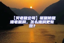 【滅老鼠公司】驅鼠防鼠堵老鼠洞，怎么堵洞更有效？