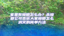 家里有蟑螂怎么辦？殺蟑螂公司告訴大家蟑螂怎么消滅的簡單方法
