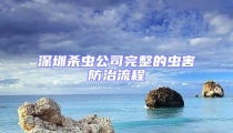 深圳殺蟲公司完整的蟲害防治流程