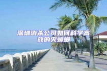 深圳消殺公司如何科學高效的滅蟑螂