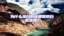 為什么沒白蟻還要做防白蟻處理？