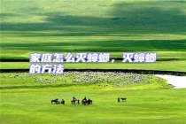 家庭怎么滅蟑螂，滅蟑螂的方法