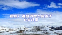 震驚！老鼠的智力相當于8歲兒童