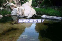 如何防鼠滅鼠？