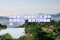 網吧里滅蟑螂的方法,最好的蟑螂藥，最有效的蟑螂藥