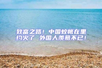 致富之路！中國蚊帳在里約火了 外國人羨慕不已！