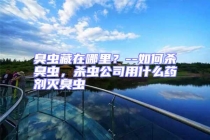 臭蟲藏在哪里？--如何殺臭蟲，殺蟲公司用什么藥劑滅臭蟲