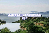 殺蟲滅鼠公司真的很管用嗎？