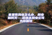 家里有臭蟲(chóng)怎么辦，臭蟲(chóng)如何滅---深圳殺臭蟲(chóng)公司為你解憂(yōu)