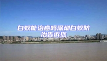 白蟻能治癌嗎深圳白蟻防治告訴您