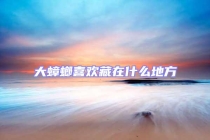 大蟑螂喜歡藏在什么地方