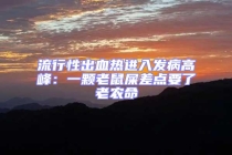 流行性出血熱進(jìn)入發(fā)病高峰：一顆老鼠屎差點(diǎn)要了老農(nóng)命