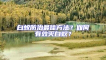 白蟻防治最佳方法？如何有效滅白蟻？