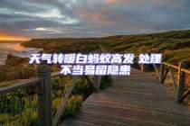 天氣轉暖白螞蟻高發　處理不當易留隱患