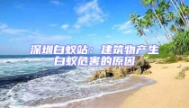 深圳白蟻站：建筑物產(chǎn)生白蟻危害的原因
