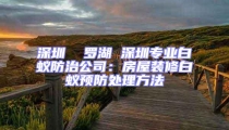 深圳  羅湖 深圳專業白蟻防治公司：房屋裝修白蟻預防處理方法