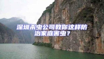深圳殺蟲公司教你這樣防治家庭害蟲？
