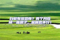 白蟻有多恐怖？?jī)蓚€(gè)月吃掉一座房子，金屬也不行！