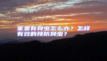 家里有臭蟲怎么辦？怎樣有效的預防臭蟲？