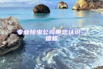 專業(yè)除蟲公司帶您認(rèn)識(shí)--獵蝽