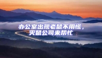 辦公室出現老鼠不用慌，滅鼠公司來幫忙