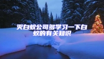 滅白蟻公司多學(xué)習(xí)一下白蟻的有關(guān)知識