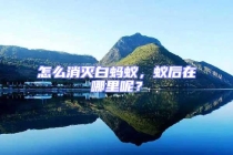 怎么消滅白螞蟻，蟻后在哪里呢？